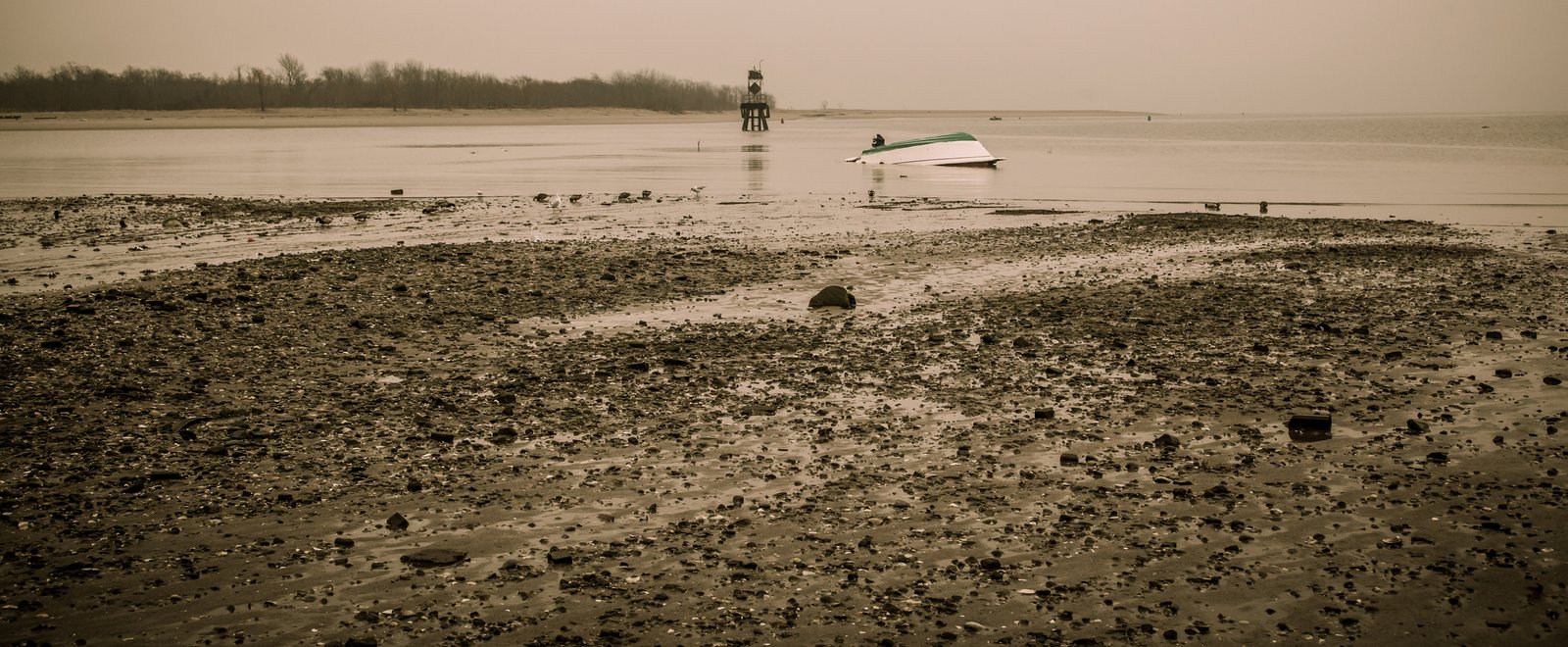 art-of-sandy-mo-staten island 2-83.jpg